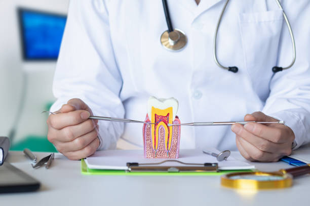 Best Emergency Dentist for Special Needs Patients in Calverton Park, MO